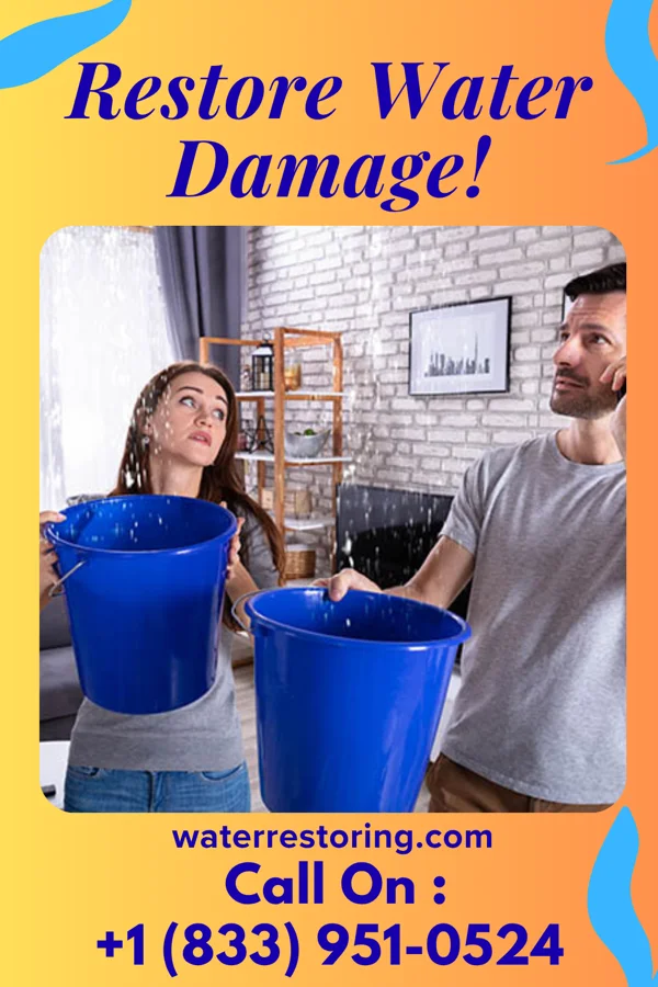 water restoration Vigilant Restoration Solutions Pros Browntown
