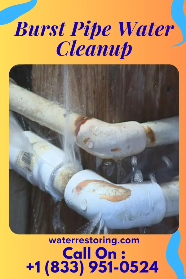 Burst Pipe Water Cleanup in Browntown, SC