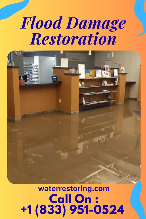 Flood Damage Restoration in Browntown, SC