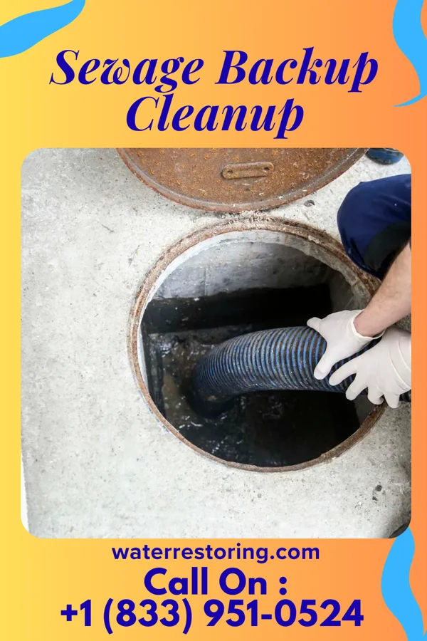 Sewage Backup Cleanup in Browntown, SC