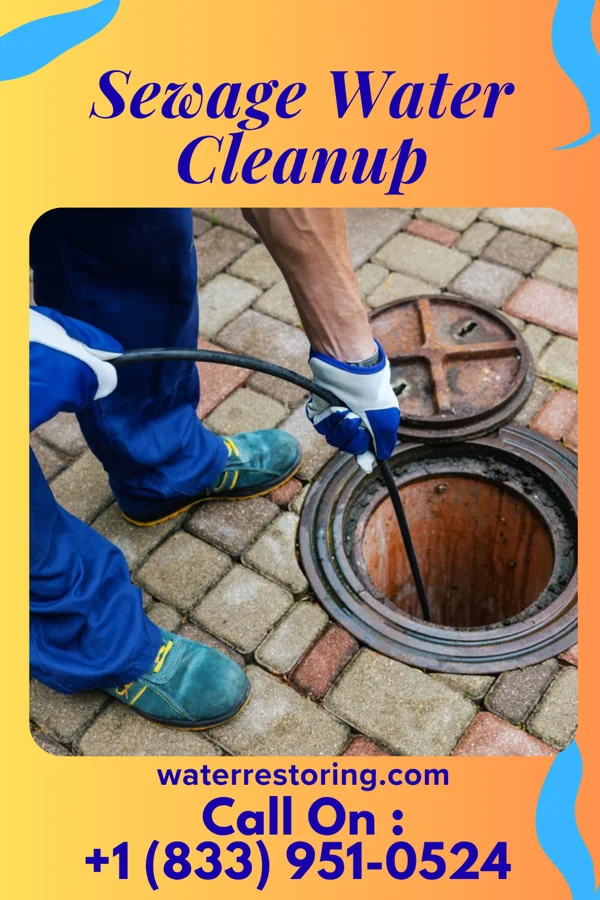 Sewage Water Cleanup in Browntown, SC
