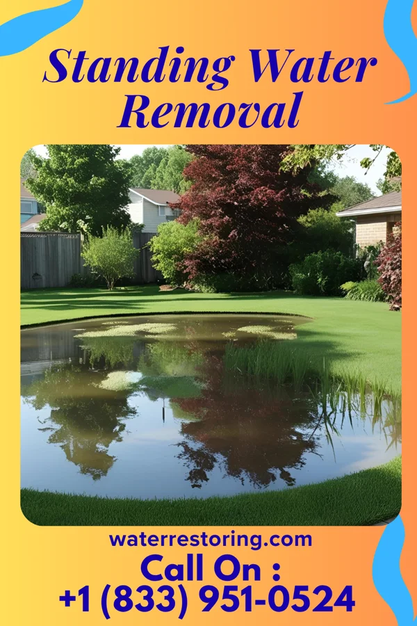 Standing Water Removal in Browntown, SC
